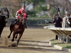 Фильмы про скаковых лошадей