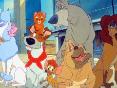 Мультфильмы про котов