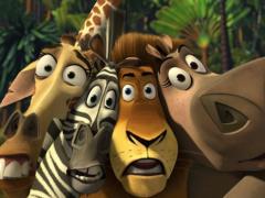 Мультфильмы про насекомых