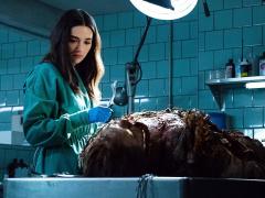 Сериалы про сверхъестественных существ
