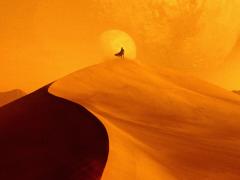 Фильмы про дворцовые интриги