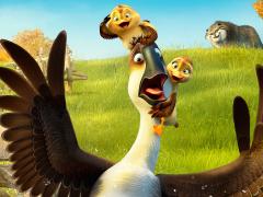 Мультфильмы про птиц