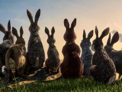 Сериалы про кроликов